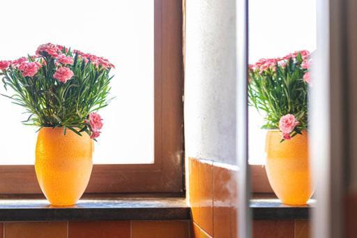 Nonna Carmela Apartment SantʼAgata sui Due Golfi Екстериор снимка