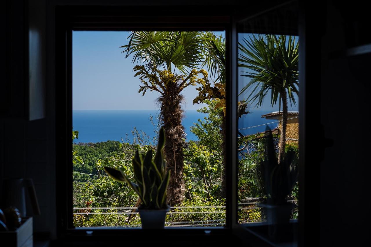 Nonna Carmela Apartment SantʼAgata sui Due Golfi Екстериор снимка